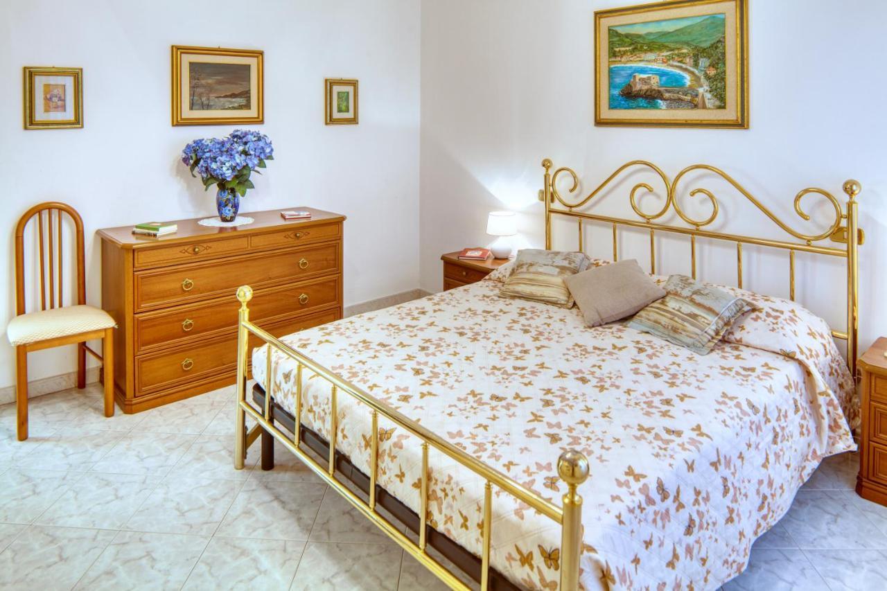 Elena House *